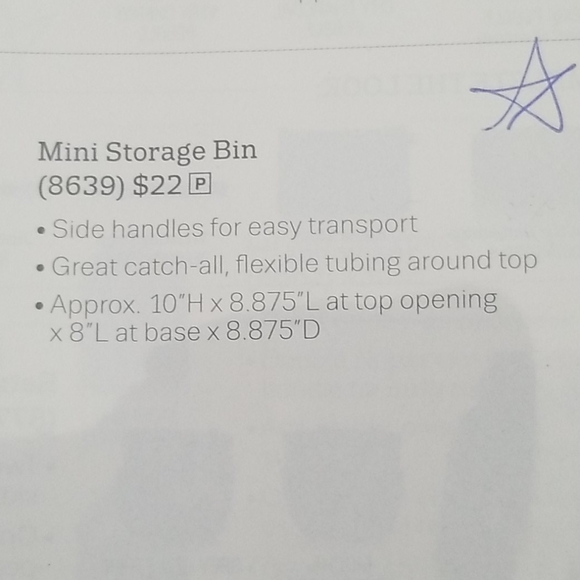 Thirty-one Mini Storage Bin - Picture 2 of 4